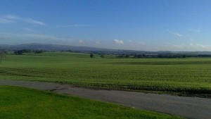 View from Preston Road taken by Paul Johnson