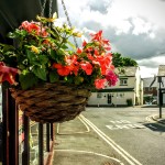 Cross Street, June 2015, by Martin Holden