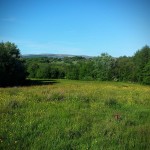 View from Standish to Rivington, June 2015, by Martin Holden