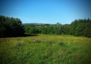 View from Standish to Rivington, June 2015, by Martin Holden